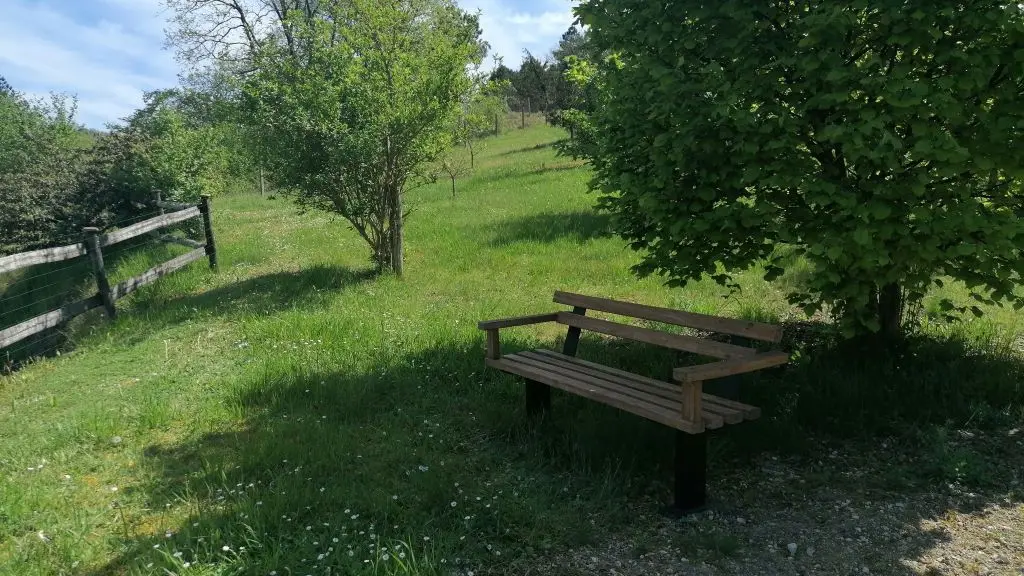 gite-piscine-colline-truffière-sourzac