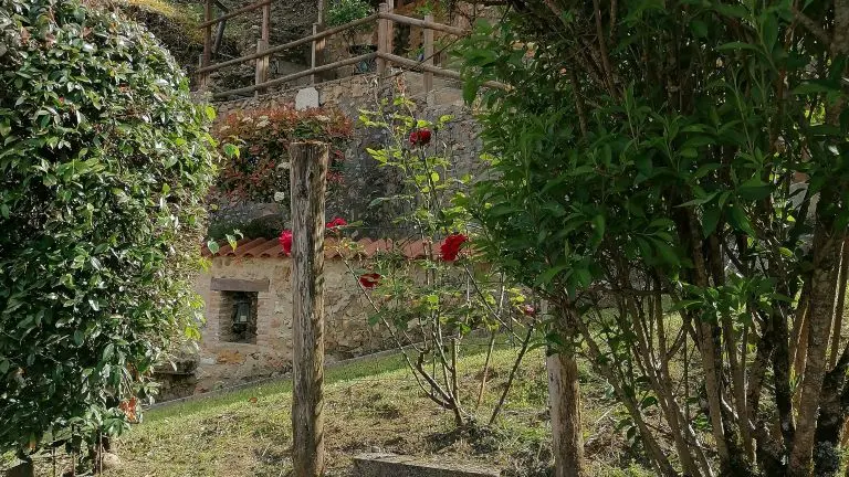 gite-piscine-colline-truffière-sourzac
