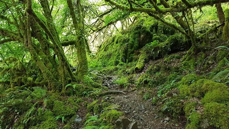 gorges-auvezere-mousse