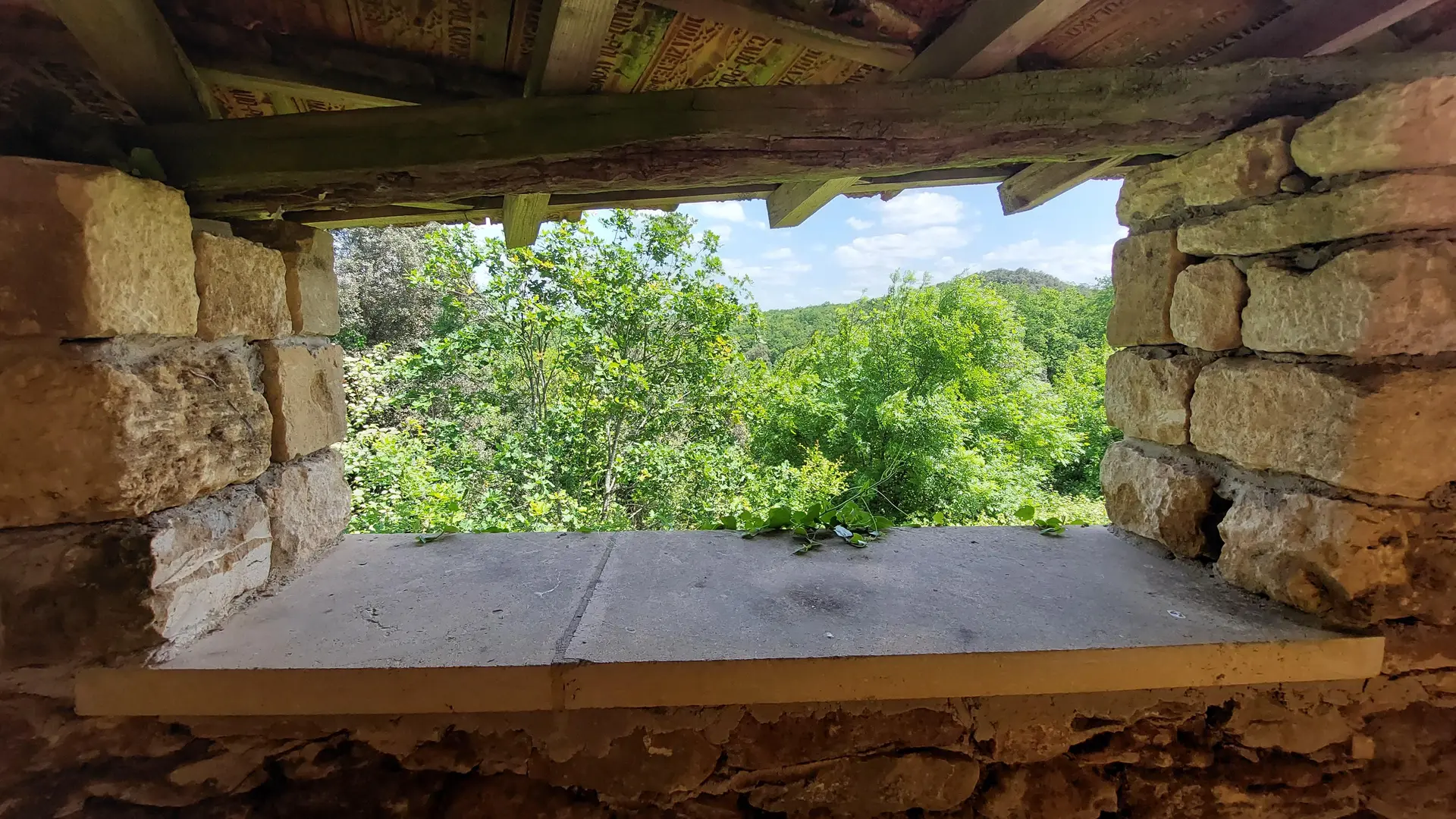 Le Pech de l'Aze piscine privée 10 min de Sarlat_15