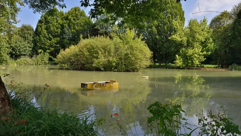 Le Mas du Ponteil- Châtaignier_Sandrine CARTON