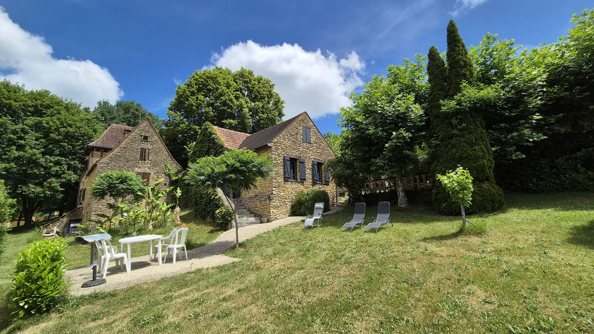 Les Platanes à Sarlat_4
