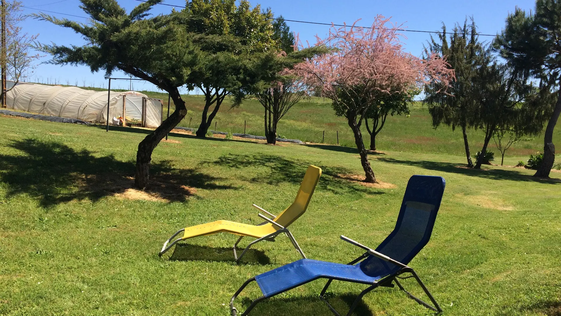 Lapervoisie 1 jardin  piscine et proche de Sarlat_16