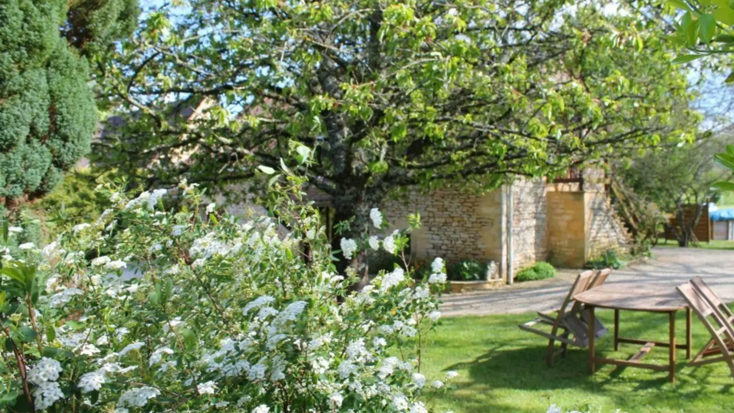 Vialard Haut piscine privée au nord de Sarlat_13