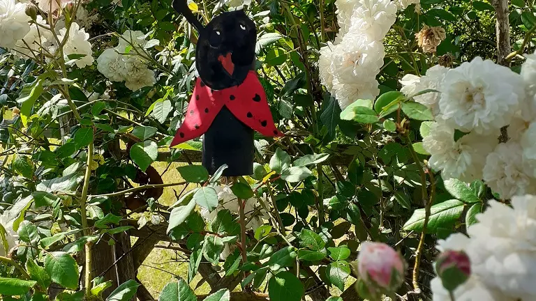 Une belle coccinelle dans le jardin