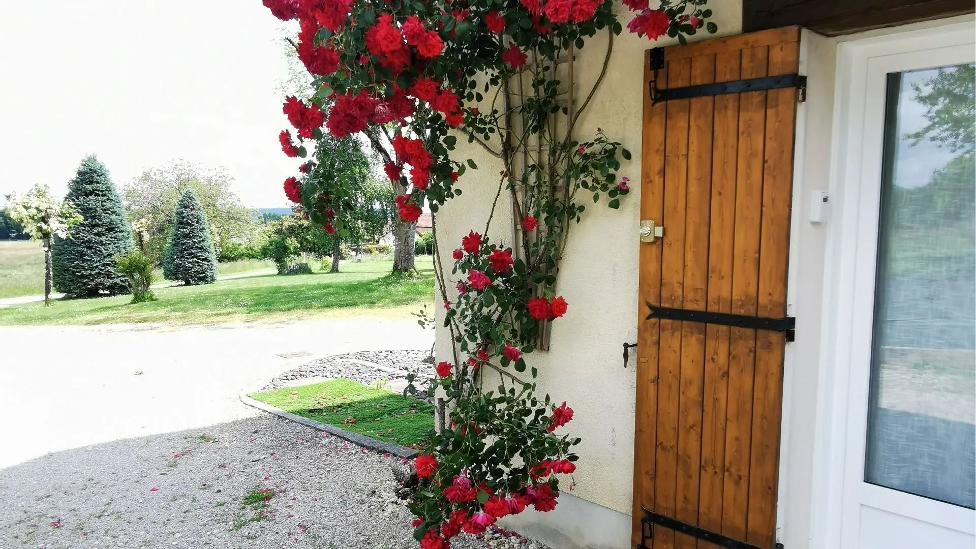 L'orée étoilée