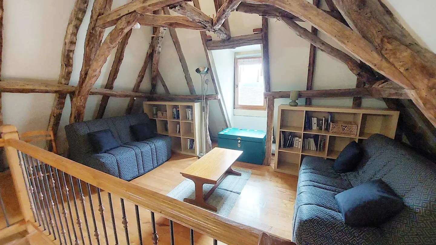 la ferme des hiboux (13)