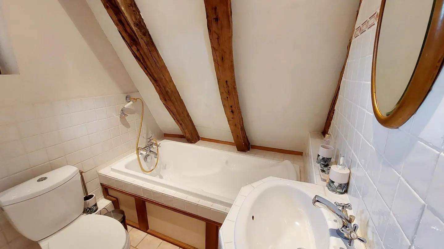 la ferme des hiboux (15)