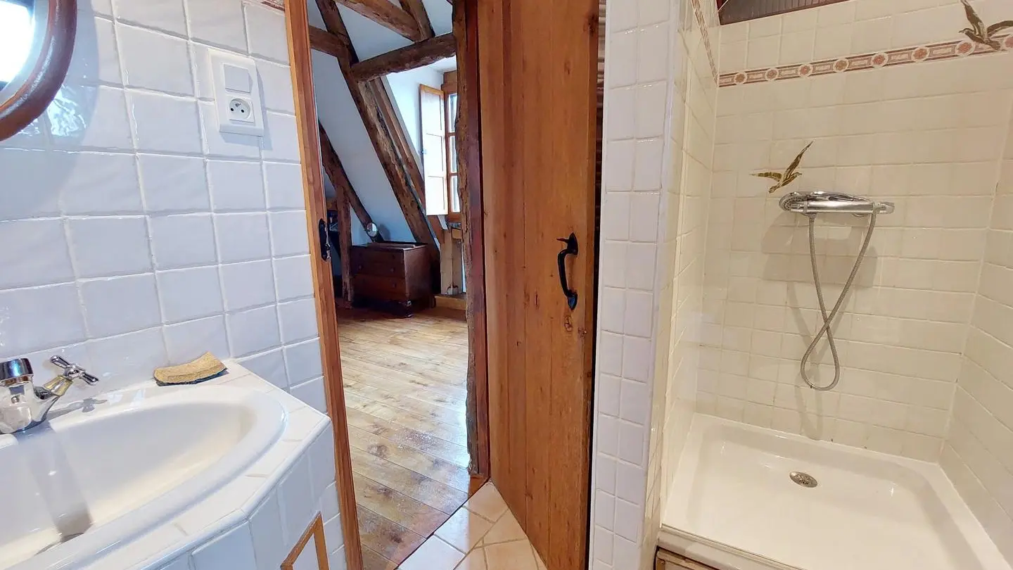 la ferme des hiboux (16)