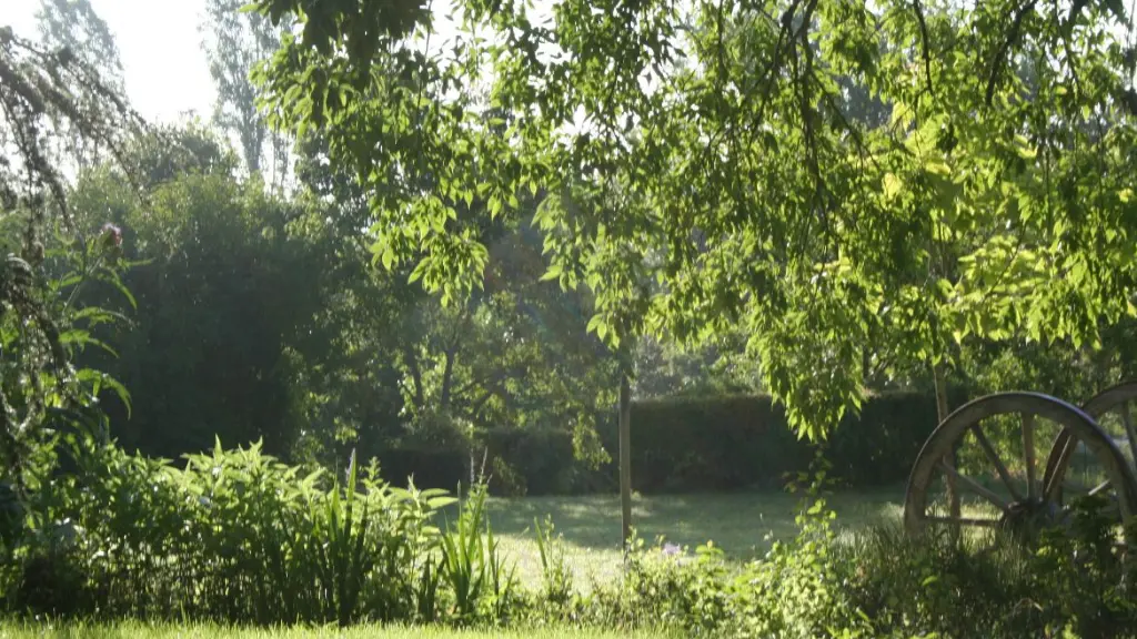 ladonzelle_monsaguel_jardin