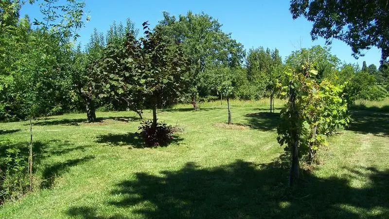 Château Laroque