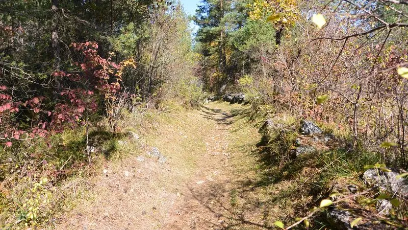 le causse de Paussac