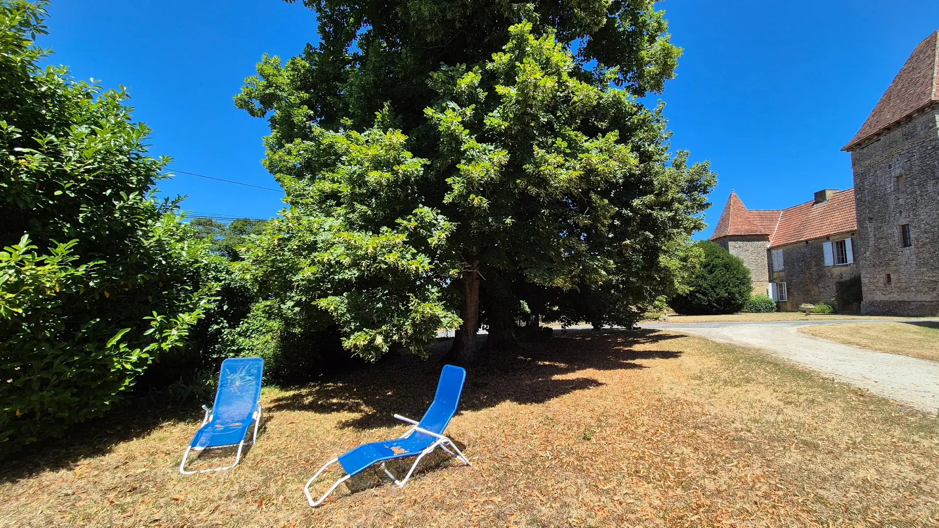 les 3 tilleuils (1)