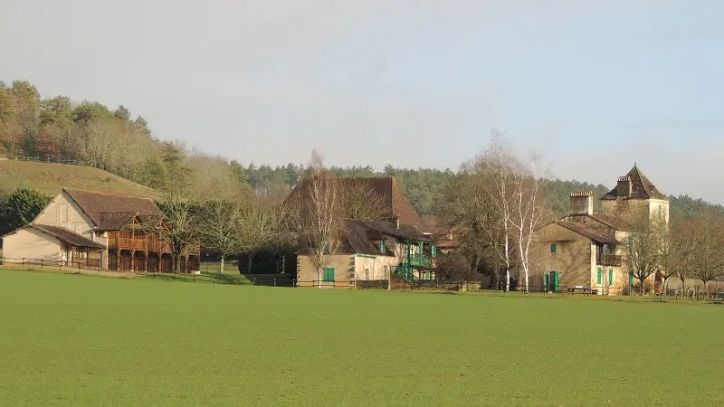 les bois de la tour
