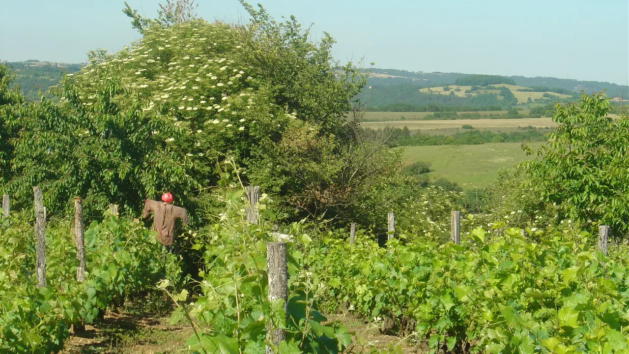 les farges_Myriam G (17)