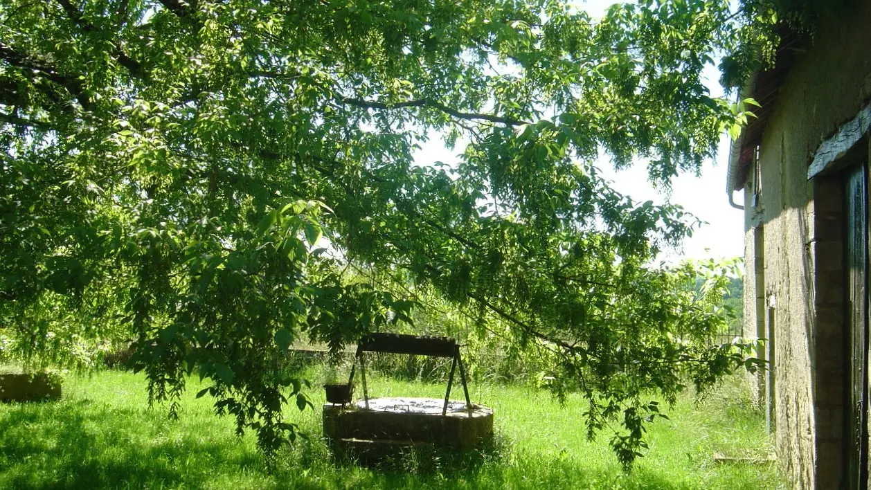 les farges_Myriam G (2)