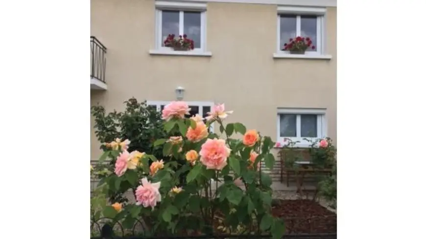 MAISON CHRYSTIE