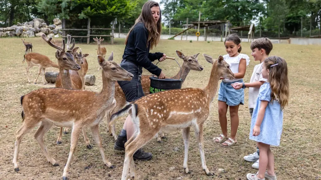 nourrissage-animaux-fs6a8589-shooting-famille-we-like-travel-semitour-juillet-2025declicdecolle-1024x682