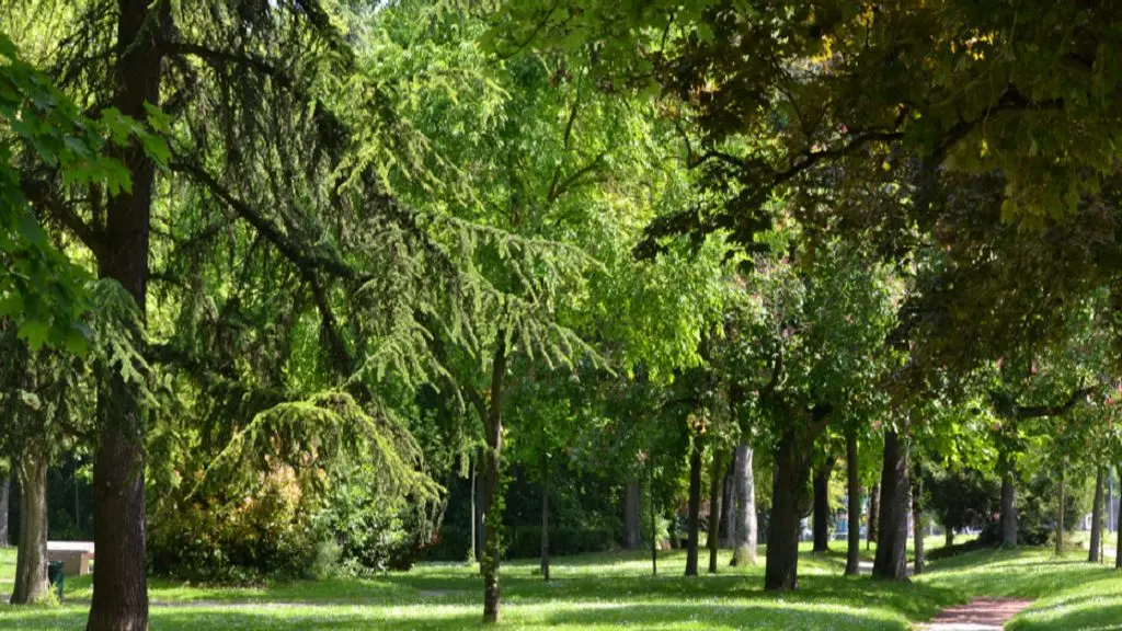 parc bretou redim