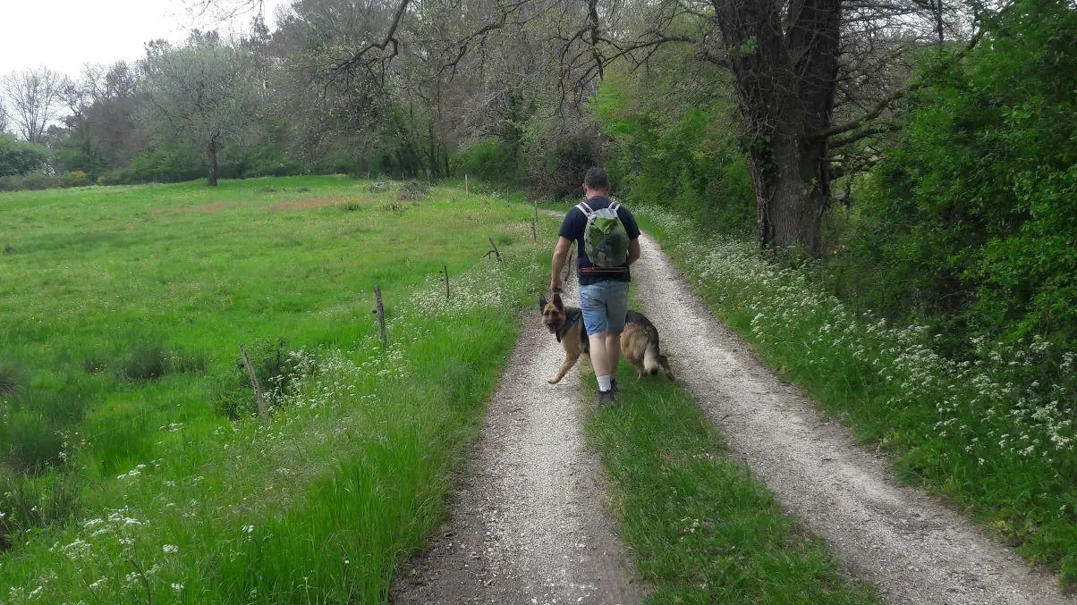 paysage-rando-boucle-des-potiers-beauronne