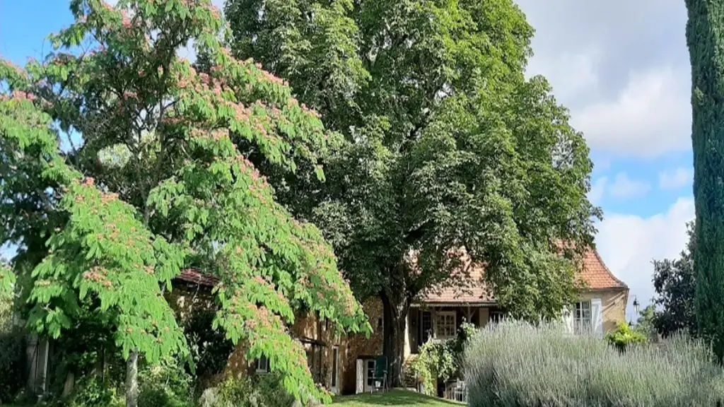 Perrot en Périgord