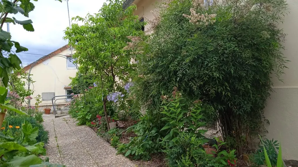 petite maison bergerac (9)