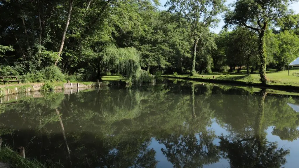 pisciculture-moulin-boissonnie-douzillac