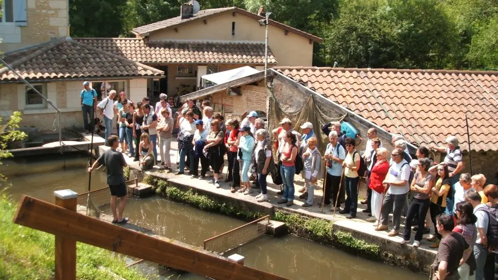 pisciculture-moulin-boissonnie-douzillac