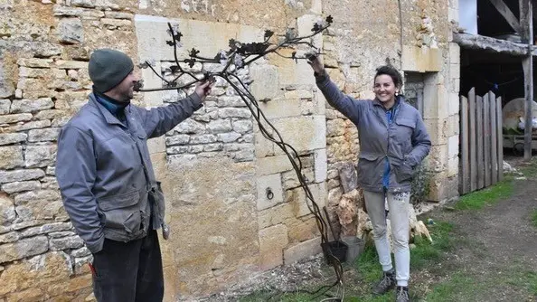 POC Porte oiseau et compagnie