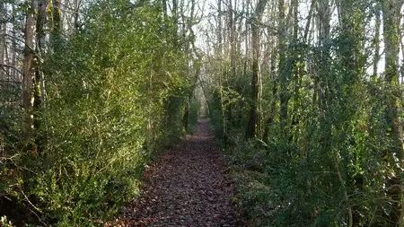 queyssac-boucle des orchidees