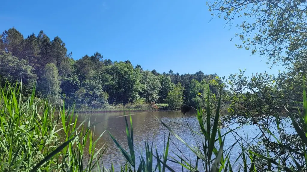 rando boucle de la Lande Chantérac - étang de Barde