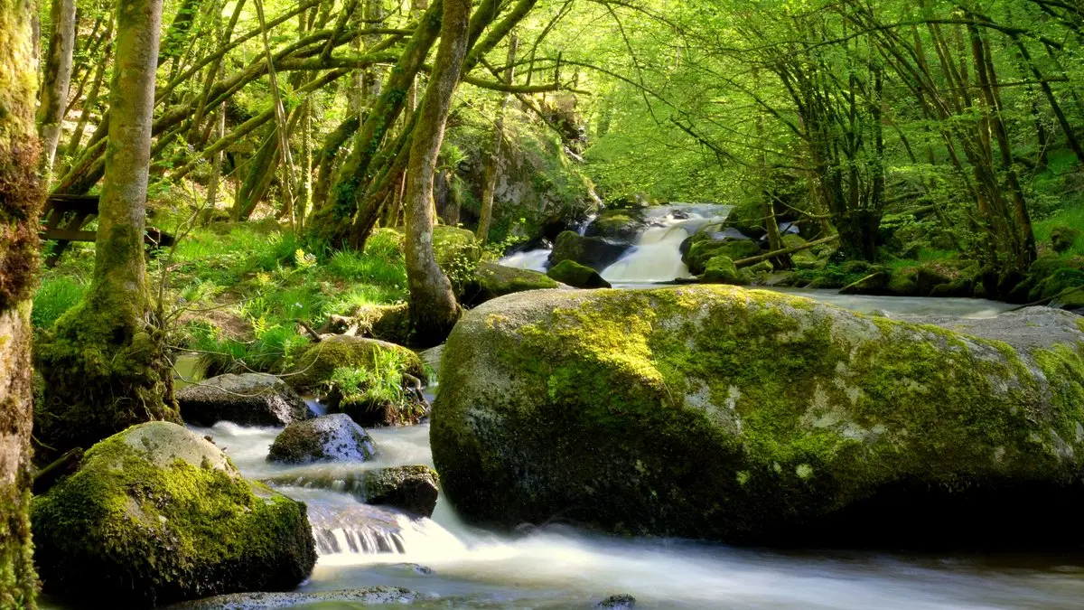 saut du chalard 05.08 056