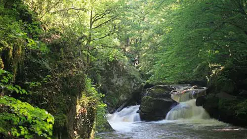 saut-du-chalard2