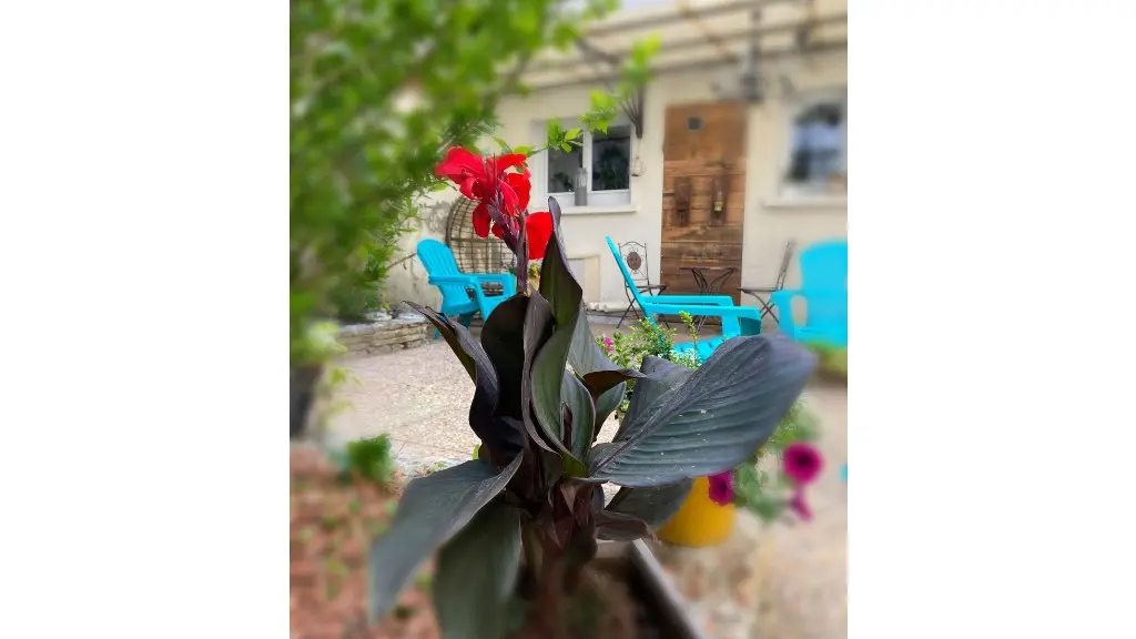 serendipity_fleurjardin
