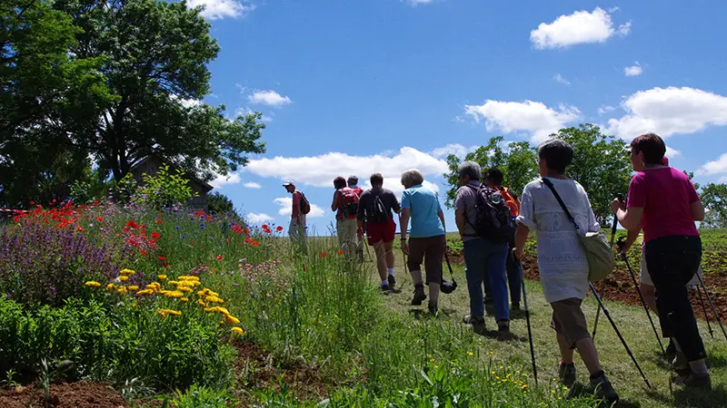 st-avit-senieur-rando-adt