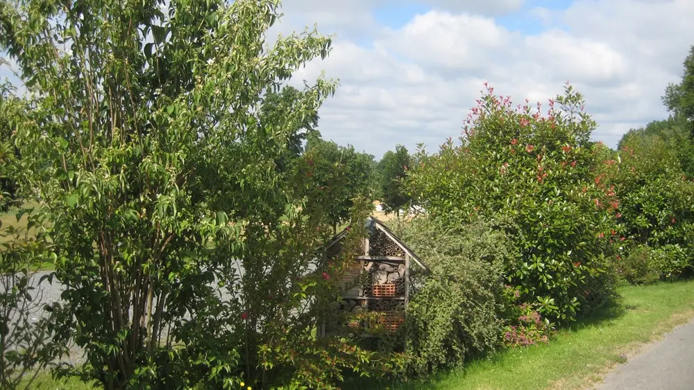 st cyr fleurs 3 M.Gourbat