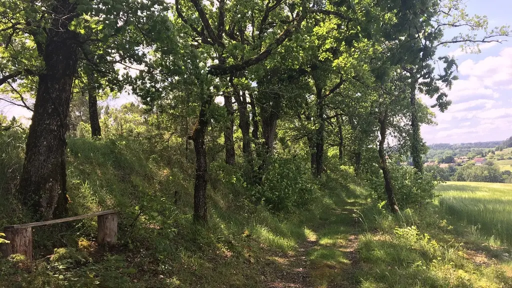 st-germain-du-salembre-chemin-de-la-messe