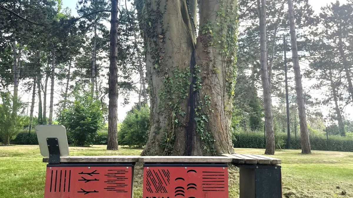 Aire de camping-cars insectes