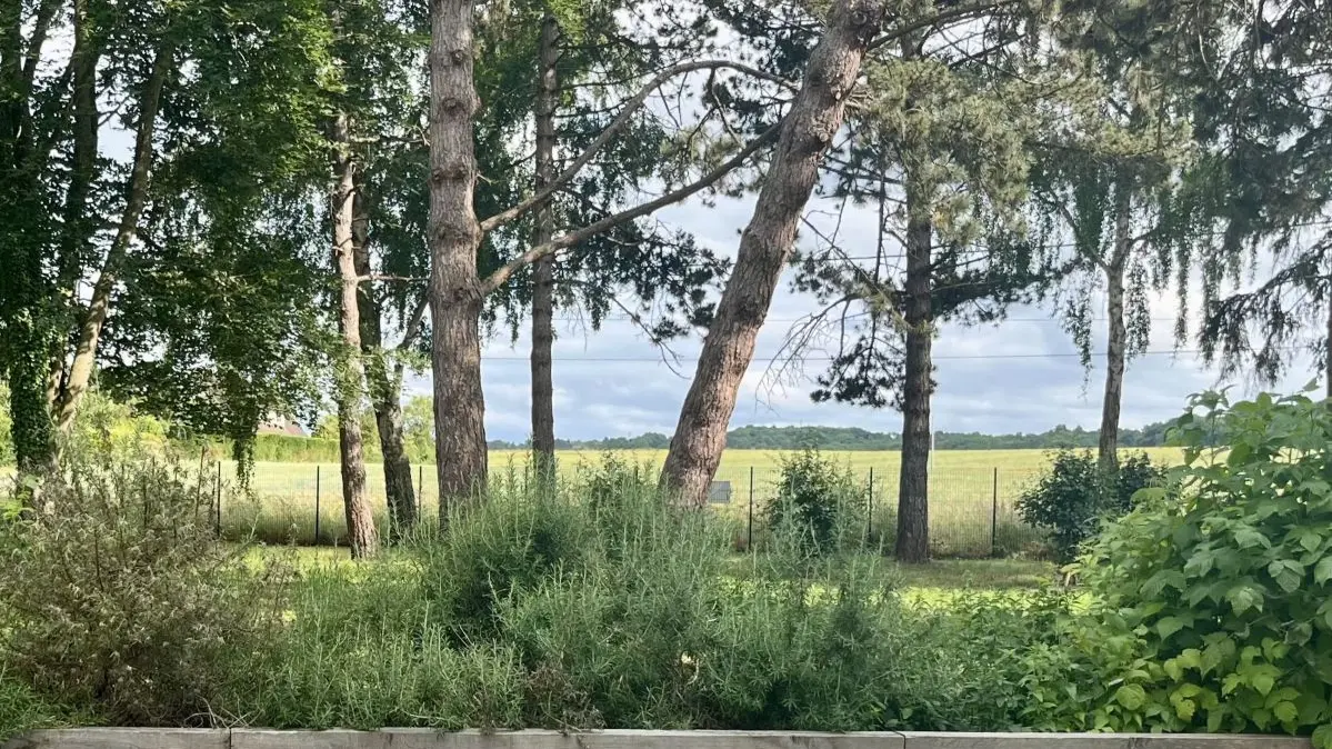 Aire de camping-cars plantations comestibles