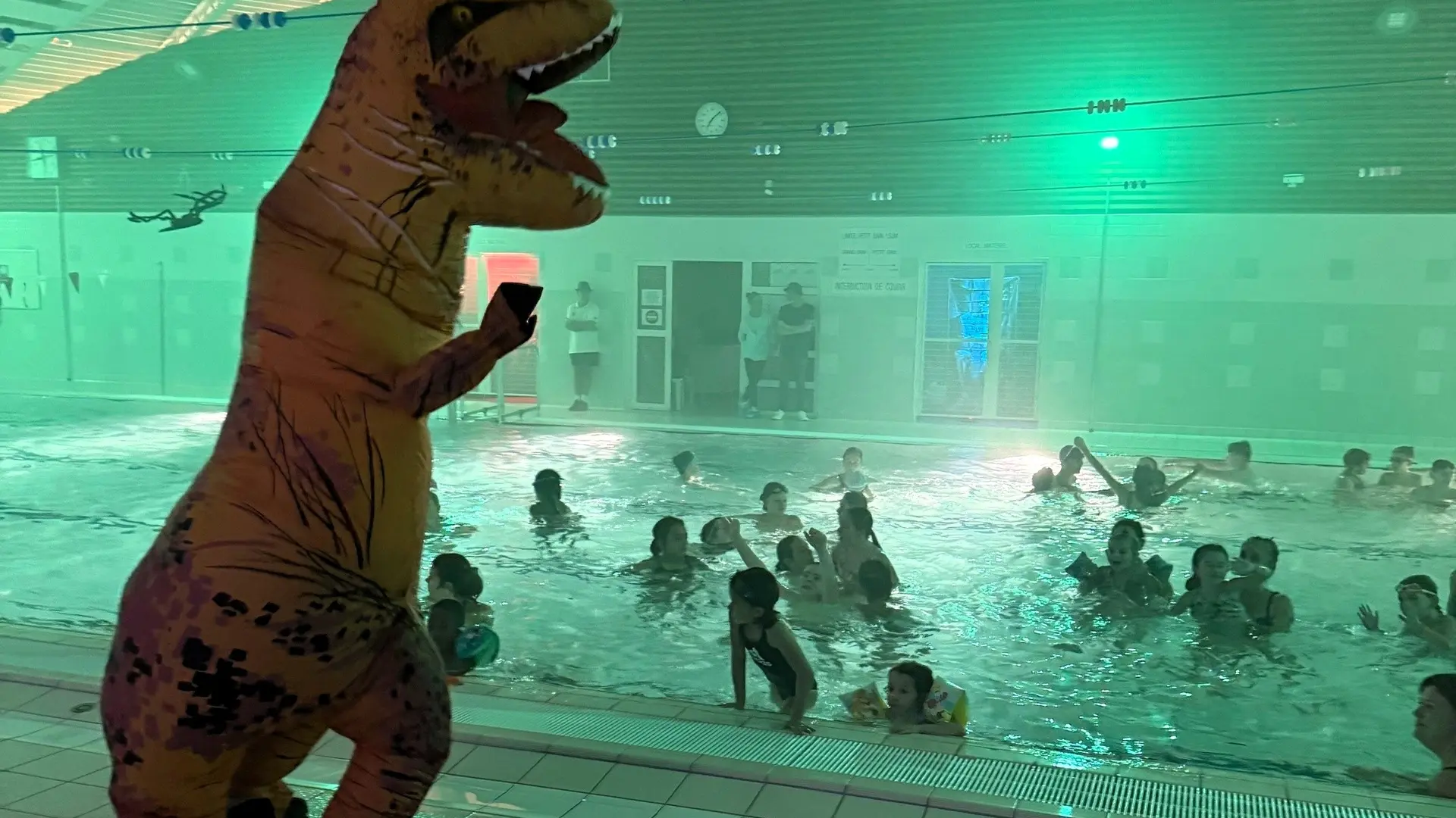 Dinosaure piscine tournesol