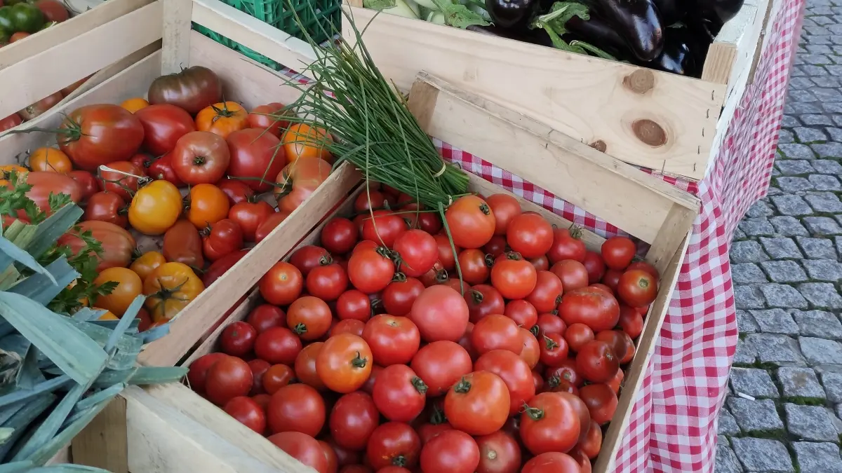 La Fermette Bio de L'Epte Etal