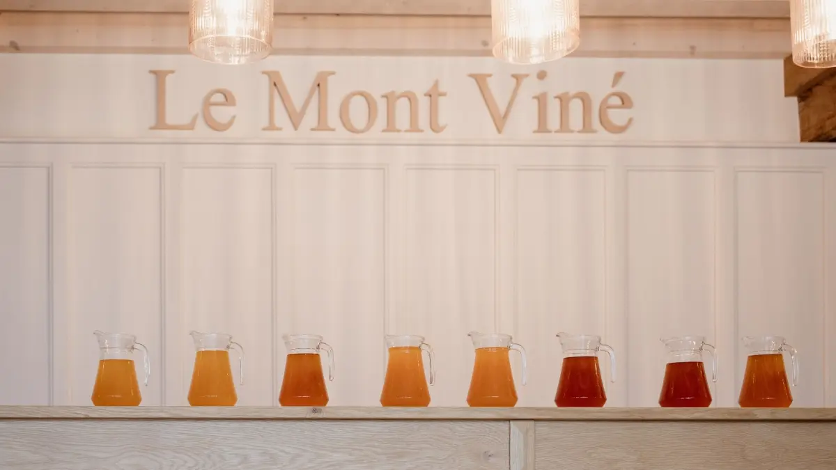 Le Mont Viné © Cidrerie du Mont Viné
