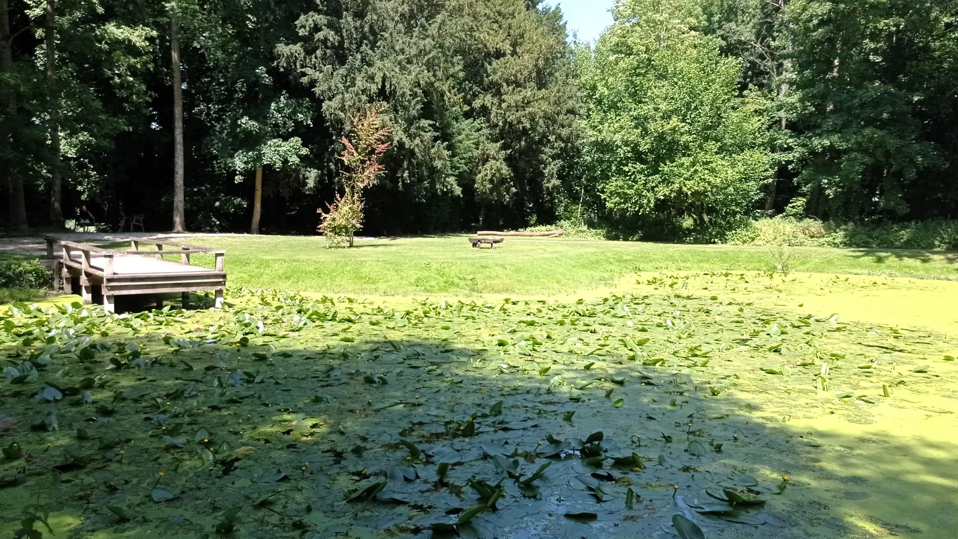 Mare parc environnemental Frédéric Passy