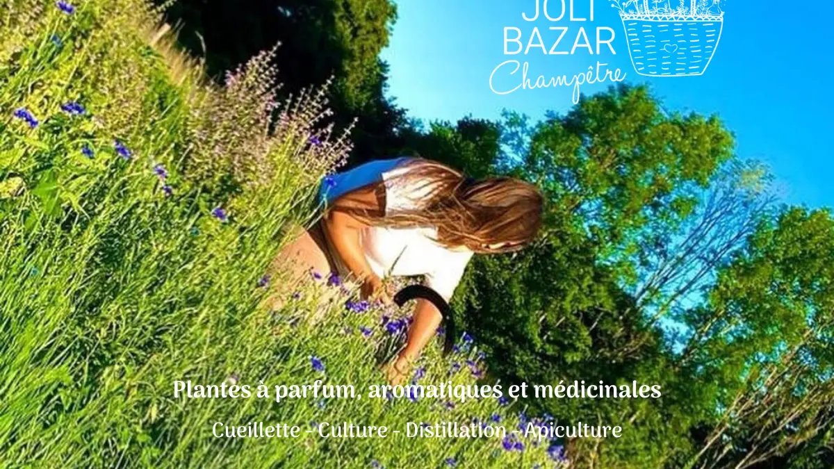 Mon Joli Bazar Champêtre 2