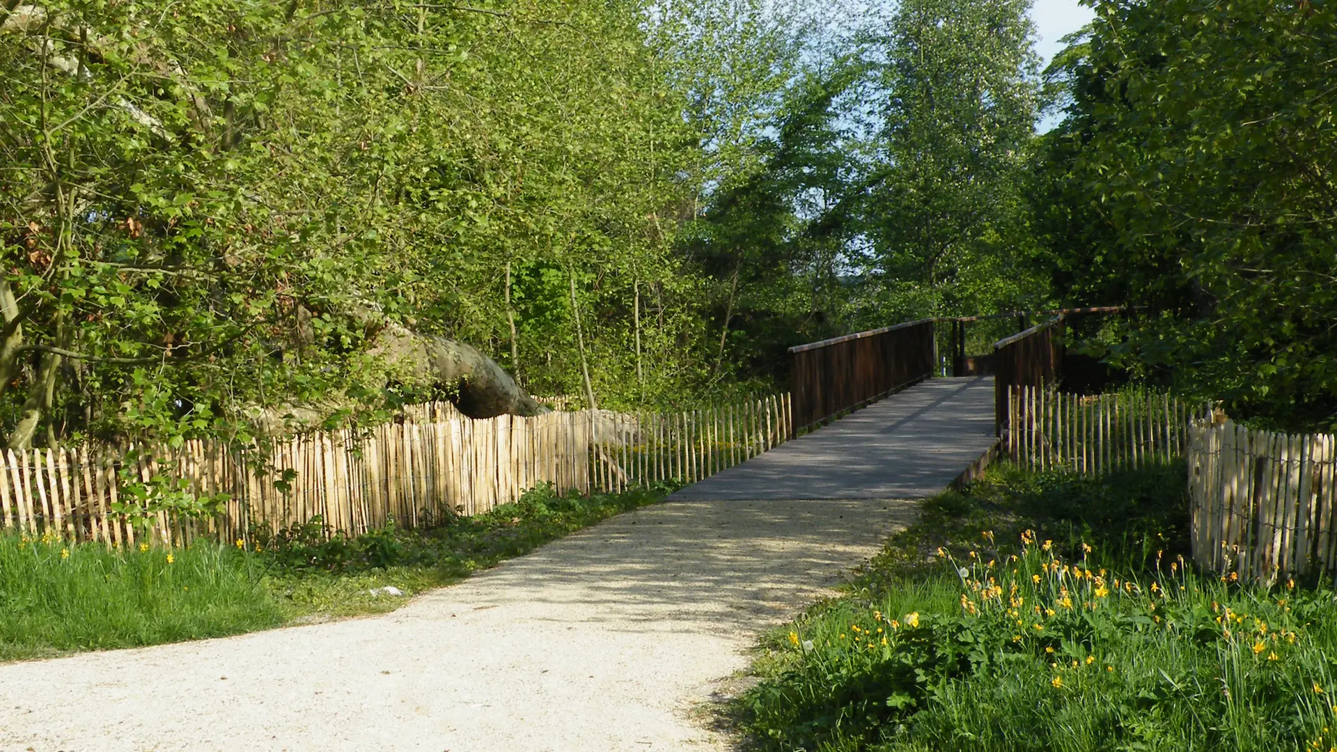 Parc Environemental, sentier