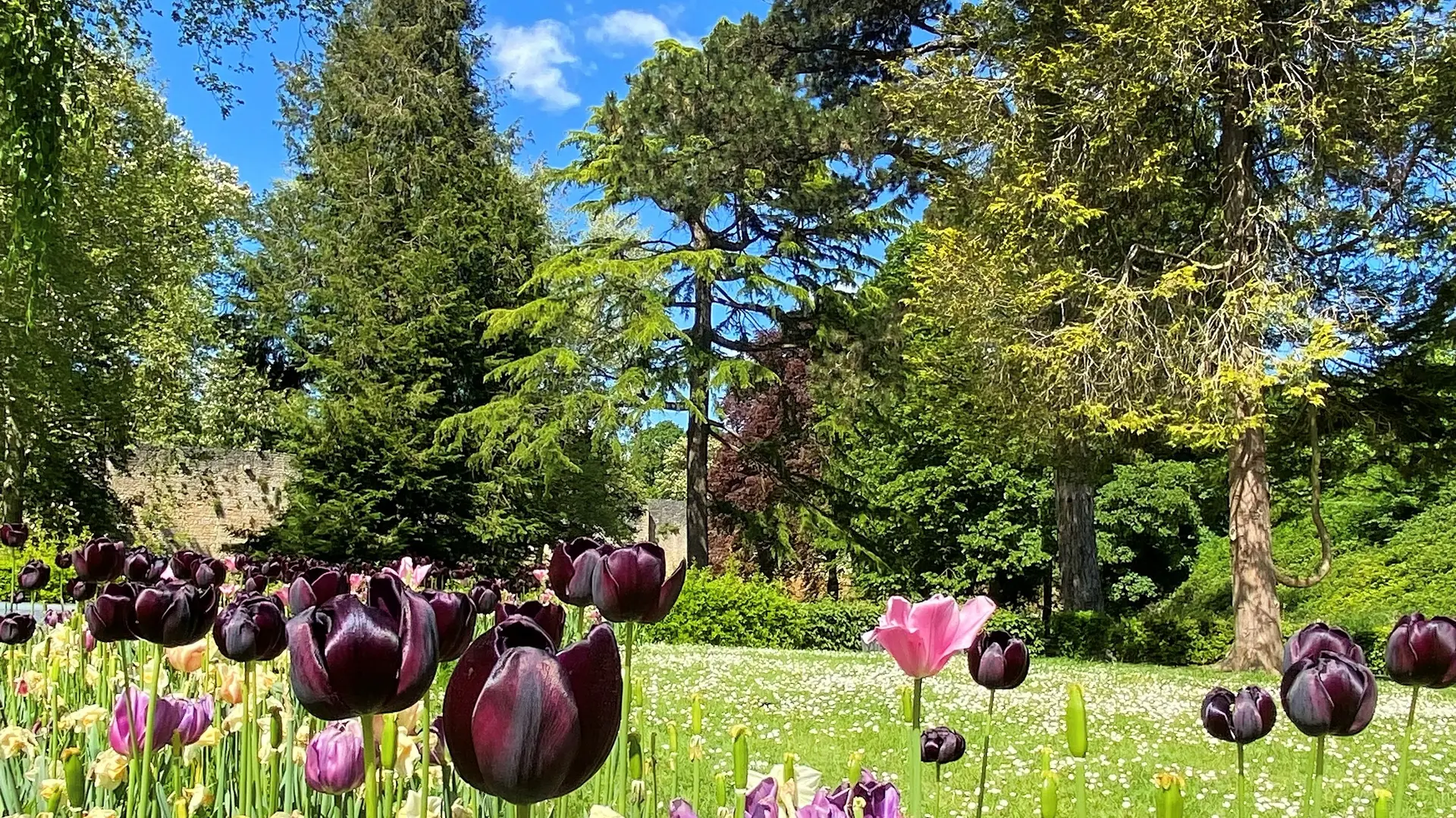 Parc château de Gisors été 2022