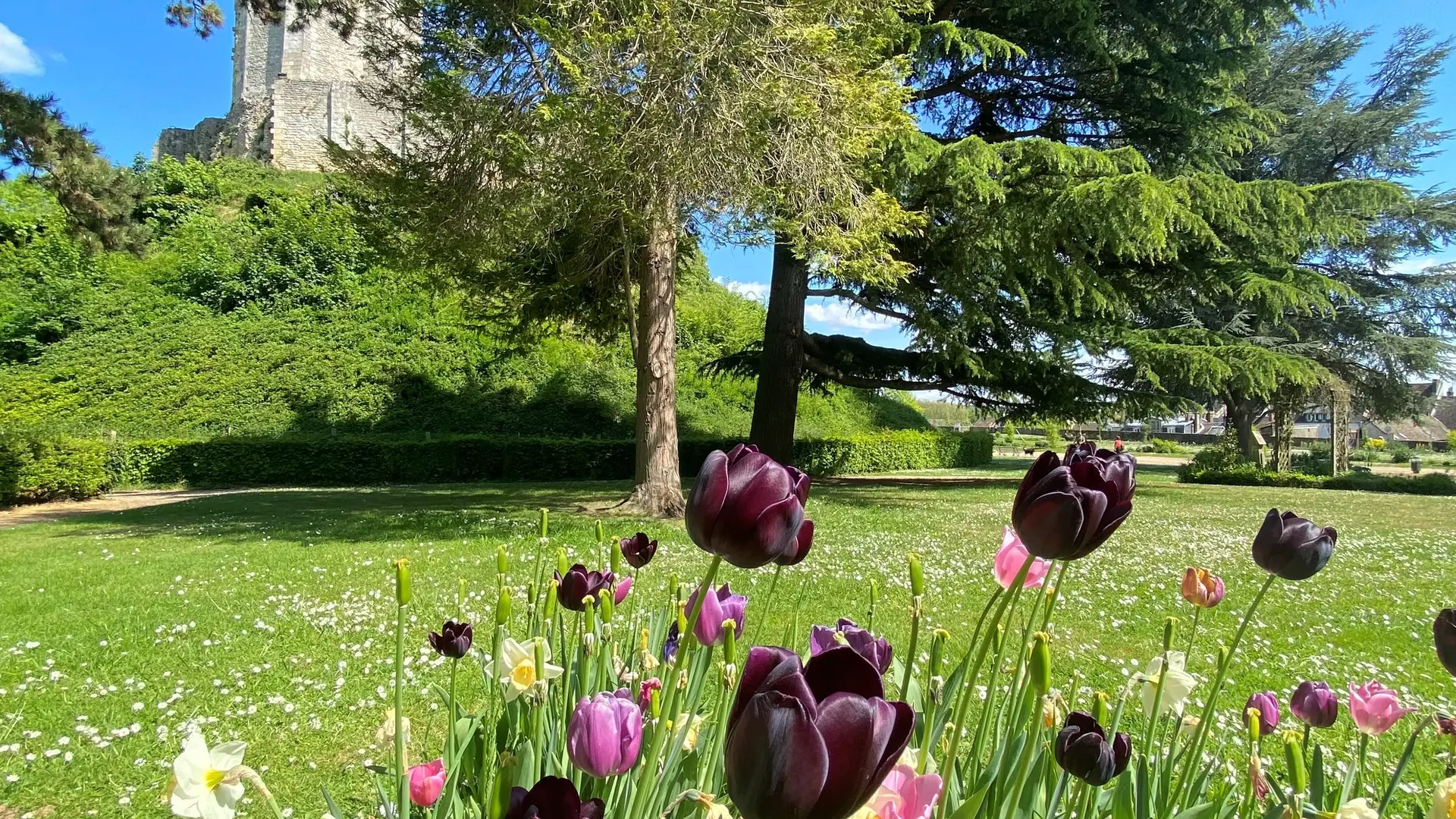 Parc château de Gisors été 2022