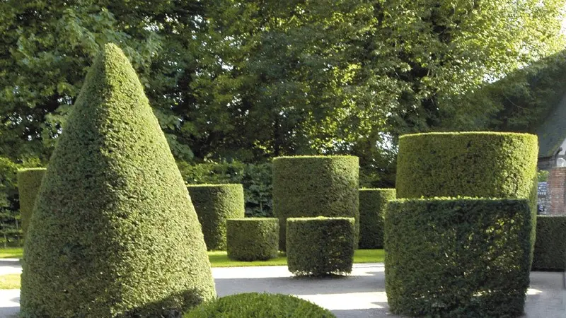 Topiaires, Jardins du château de Vascœuil