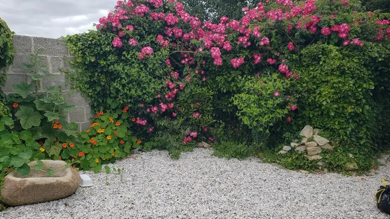 Rioual - Jean - Ploneour-lanvern - Pays Bigouden - Bigoudenjoy