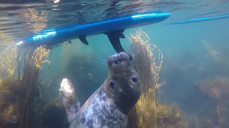 Les enfants de la côte